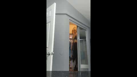 Snapshot of cdlisaann chatting on 03/15/26, 02:56 cdlisaann online show from 03/15/26, 02:56