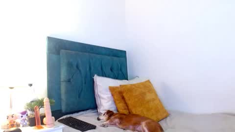 Cedrixx10 online show from 02/11/26, 08:58