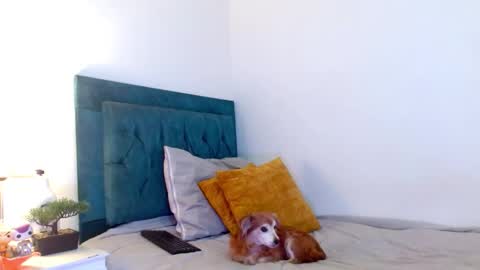 Cedrixx10 online show from 02/28/26, 10:00