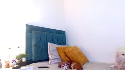 Cedrixx10 online show from 03/14/26, 11:10