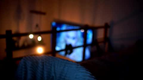 Sunflower  online show from 02/14/26, 05:10