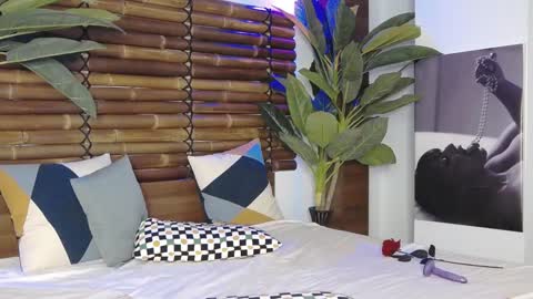 CelesteBailey online show from 01/26/25, 06:38