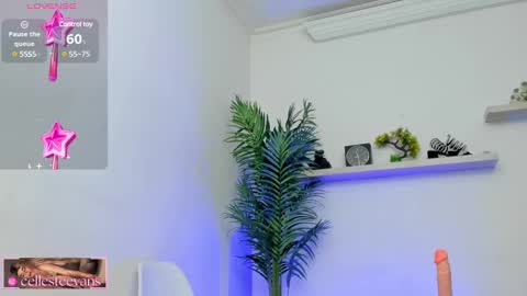 Snapshot of cellesteevans chatting on 01/21/25, 05:41 Celeste online show from 01/21/25, 05:41