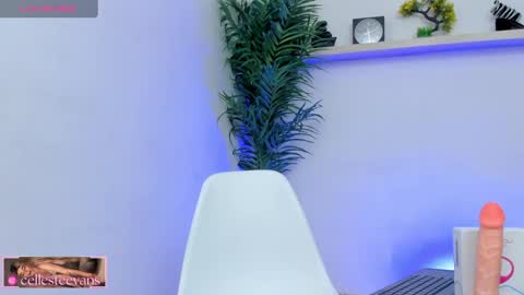 Snapshot of cellesteevans chatting on 02/05/25, 08:57 Celeste online show from 02/05/25, 08:57