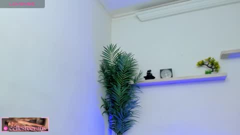 Snapshot of cellesteevans chatting on 02/11/25, 03:18 Celeste online show from 02/11/25, 03:18