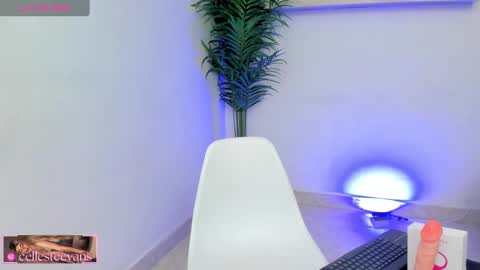 Snapshot of cellesteevans chatting on 02/14/25, 04:41 Celeste online show from 02/14/25, 04:41