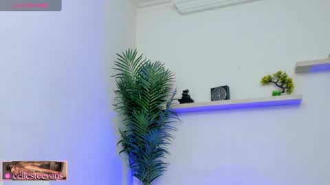 Snapshot of cellesteevans chatting on 02/21/25, 02:59 Celeste online show from 02/21/25, 02:59