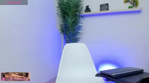 Snapshot of cellesteevans chatting on 02/25/25, 03:38 Celeste online show from 02/25/25, 03:38