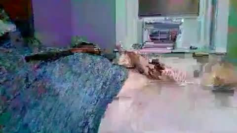 cervixpainter27 online show from 11/03/25, 01:40