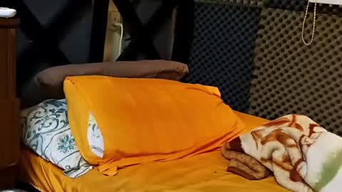 cezar online show from 09/18/25, 02:19