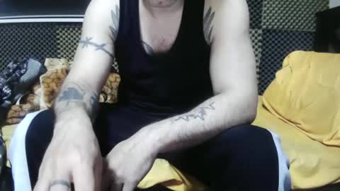 cezar online show from 11/14/25, 03:16