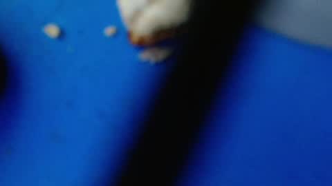 cguffey2284 online show from 03/07/25, 04:24