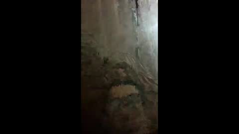 chacal6311 online show from 02/09/26, 01:31