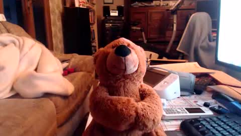 chacoa online show from 02/16/26, 04:36