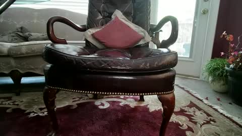 chad online show from 12/03/24, 07:11