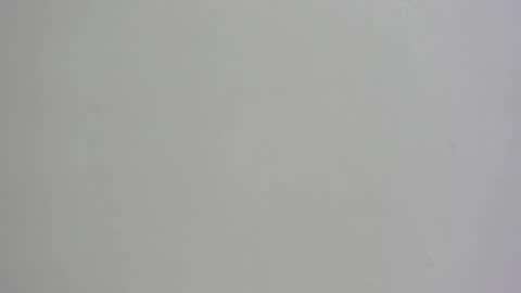 Channel online show from 11/01/25, 06:15