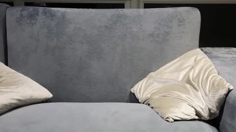 Stern online show from 04/08/26, 04:07