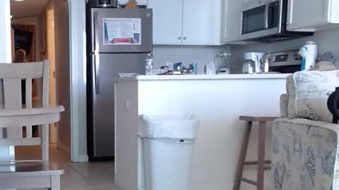 Snapshot of charleyandsmokie chatting on 10/31/25, 05:58 charleyandsmokie online show from 10/31/25, 05:58