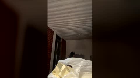    online show from 01/18/26, 01:31