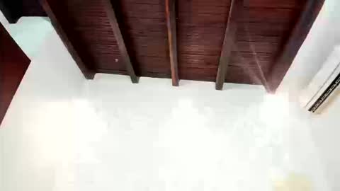 Charlot  online show from 03/11/26, 09:32