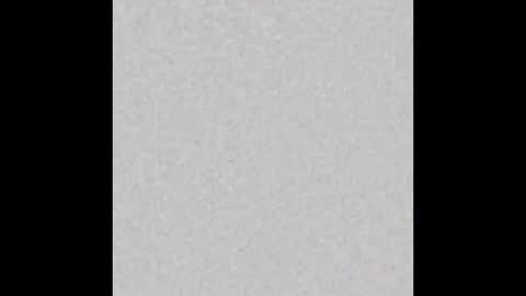 Charlotte online show from 01/12/26, 08:03