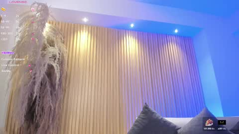 Charlotte  Everyday From 0700 to 1300 Col Time online show from 02/14/25, 11:10