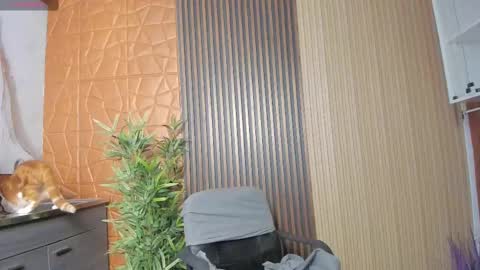 Charlotte  Everyday From 0700 to 1300 Col Time online show from 02/17/25, 11:02