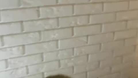 charlottebunnyuwu online show from 02/12/25, 02:35