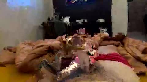 chasejase20333 online show from 02/02/26, 02:10