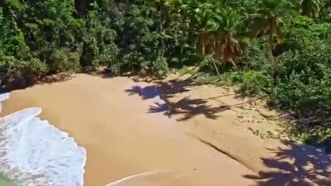 Sam online show from 12/17/24, 04:21