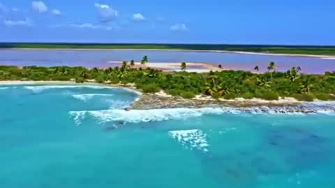 Sam online show from 12/19/24, 06:56