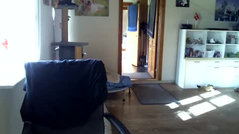 chefben666 online show from 10/16/25, 10:27