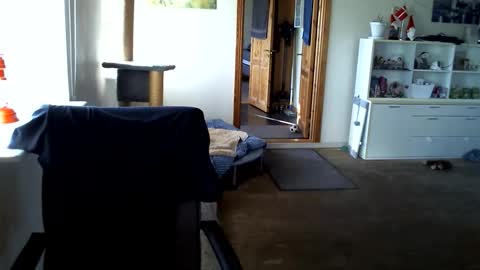 chefben666 online show from 03/31/26, 03:56