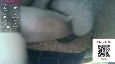 Fun With Daddys Dick Fantacy Room online show from 12/17/25, 05:19