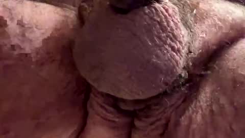 Chef online show from 11/28/25, 09:17