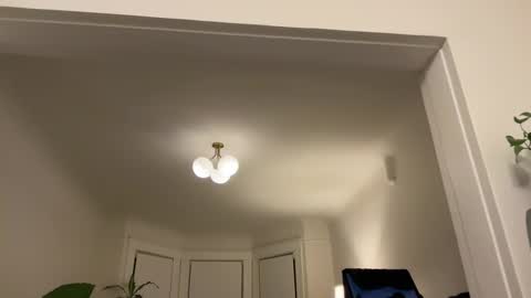 chellybear101 online show from 01/11/25, 04:06