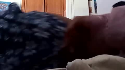 ChemicalX  online show from 03/09/26, 08:13