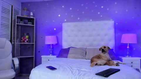 Snapshot of cherry_sussan chatting on 02/01/25, 04:24 Sussan Cherry online show from 02/01/25, 04:24