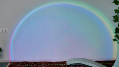 Snapshot of chillsnail_bro chatting on 02/11/26, 09:14 Bella online show from 02/11/26, 09:14