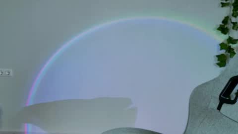 Snapshot of chillsnail_bro chatting on 02/16/26, 09:05 Bella online show from 02/16/26, 09:05