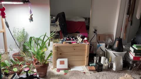 judith online show from 02/03/25, 11:36