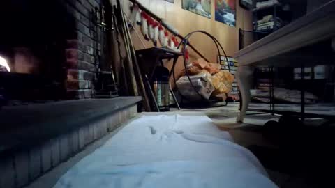 chippy70 online show from 01/18/26, 07:45