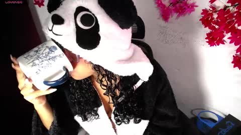 chleo_rosse online show from 04/17/26, 03:42