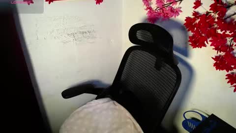 Snapshot of chleo_rosse chatting on 06/05/26, 12:11 chleo_rosse online show from 06/05/26, 12:11