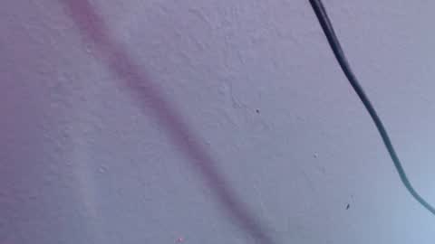 chloe_prg online show from 12/20/24, 07:07