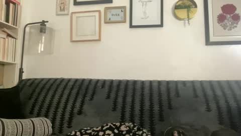 Chloe online show from 12/24/24, 08:22