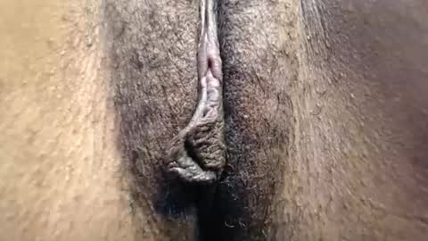 Cutie online show from 05/03/26, 08:20