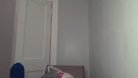 chocolatedolla online show from 03/04/25, 02:27