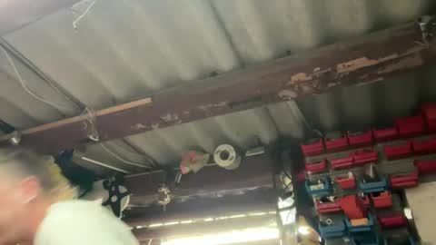 Chris online show from 12/02/24, 02:42