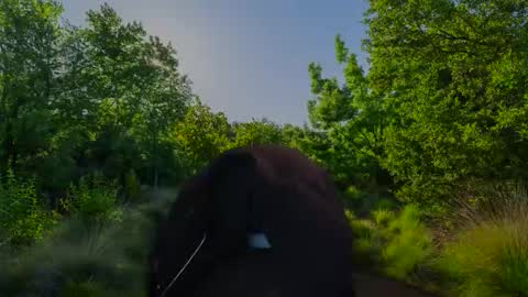 Snapshot of chris2024x chatting on 11/10/25, 07:51 Christian online show from 11/10/25, 07:51